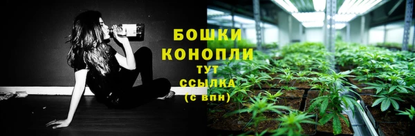 сатива Гусев