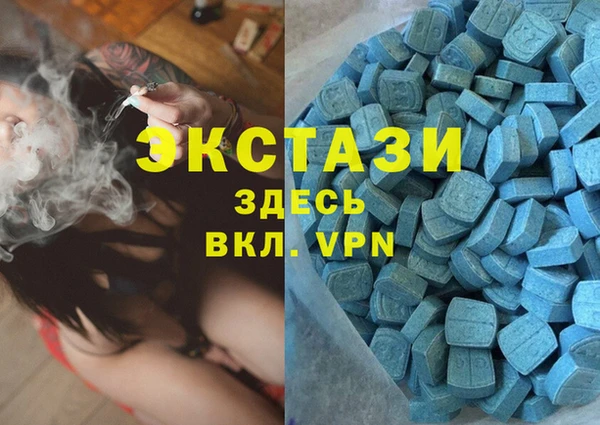 прущие грибы Гусиноозёрск