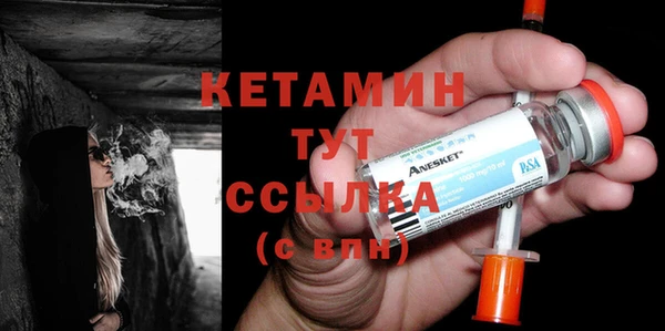 прущие грибы Гусиноозёрск