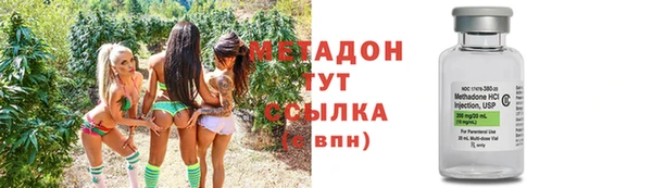 сатива Гусев
