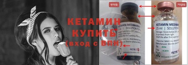 прущие грибы Гусиноозёрск