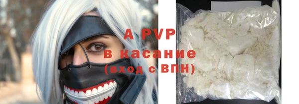 прущие грибы Гусиноозёрск