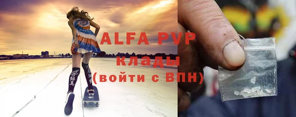 прущие грибы Гусиноозёрск
