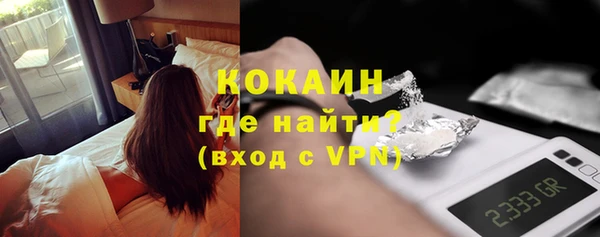 прущие грибы Гусиноозёрск