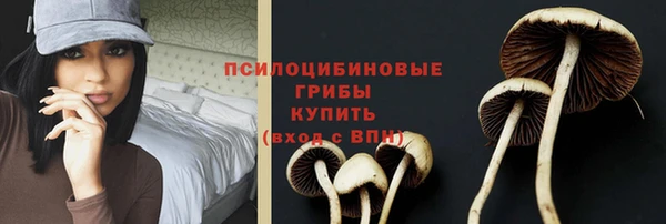 сатива Гусев