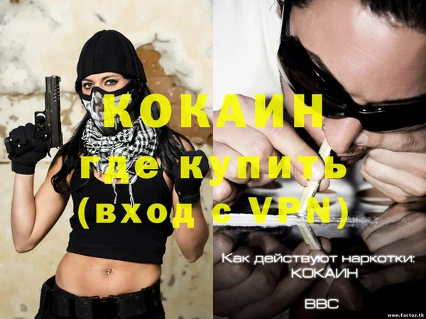 прущие грибы Гусиноозёрск