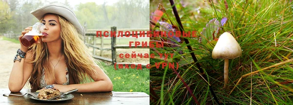 СК Кинешма