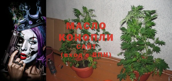 прущие грибы Гусиноозёрск