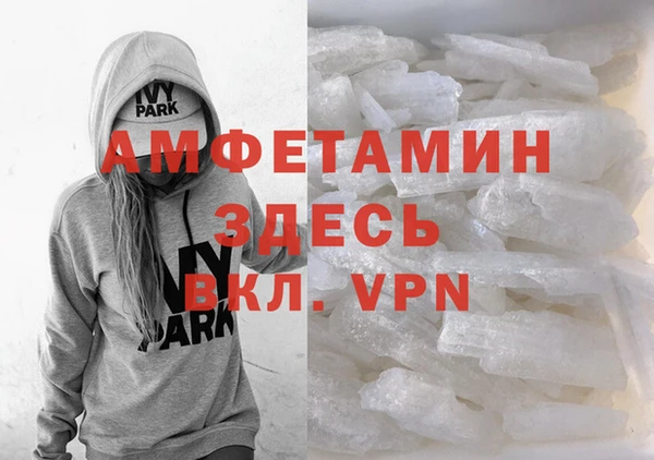 прущие грибы Гусиноозёрск