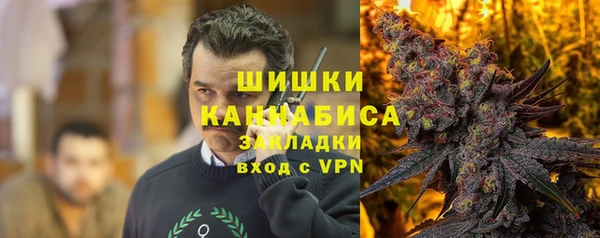 сатива Гусев