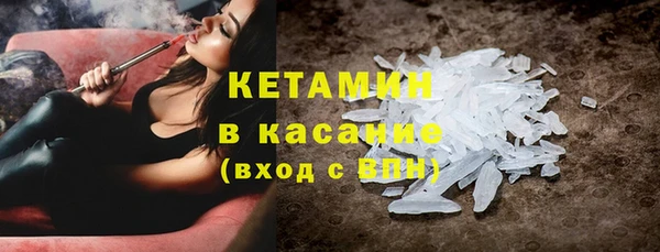 прущие грибы Гусиноозёрск