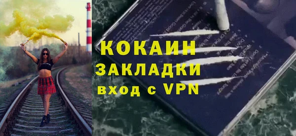 прущие грибы Гусиноозёрск