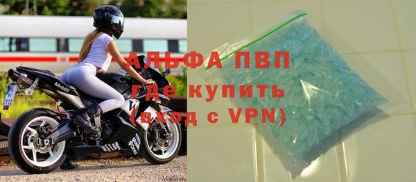 сатива Гусев